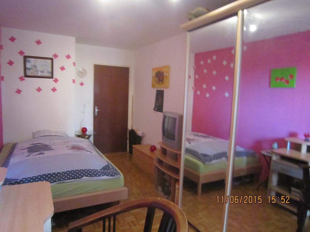 Schoenes Zimmer In Der City בזל מראה חיצוני תמונה